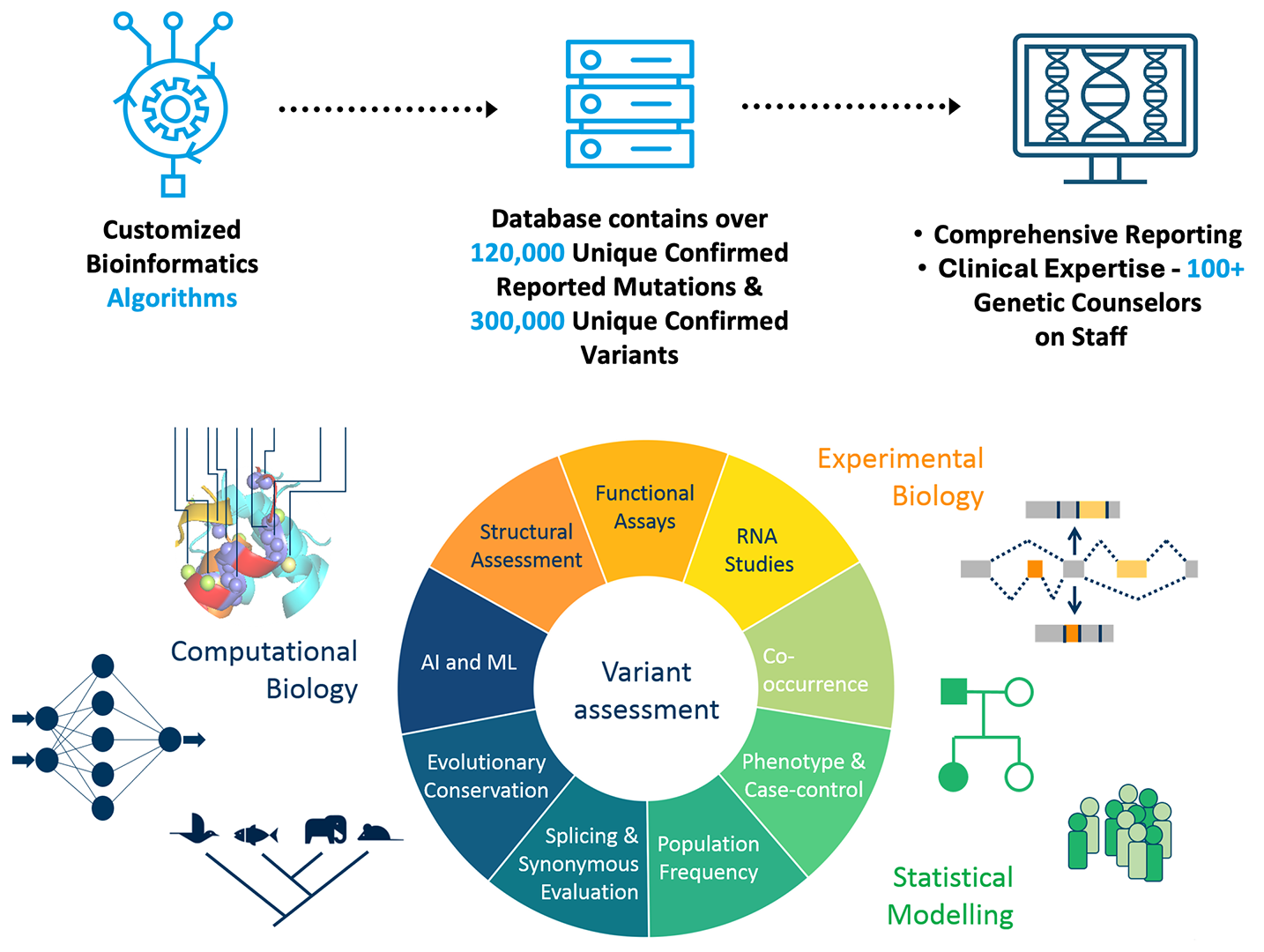 Clinical Insights graphs and other fancy data